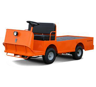 Taylor-Dunn Personnel Carriers B-248 48V AC